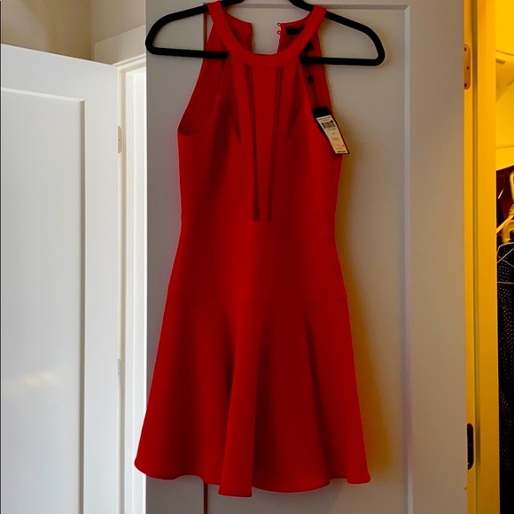 BCBG brand new Tatyanna Dress! - Picture 1 of 3